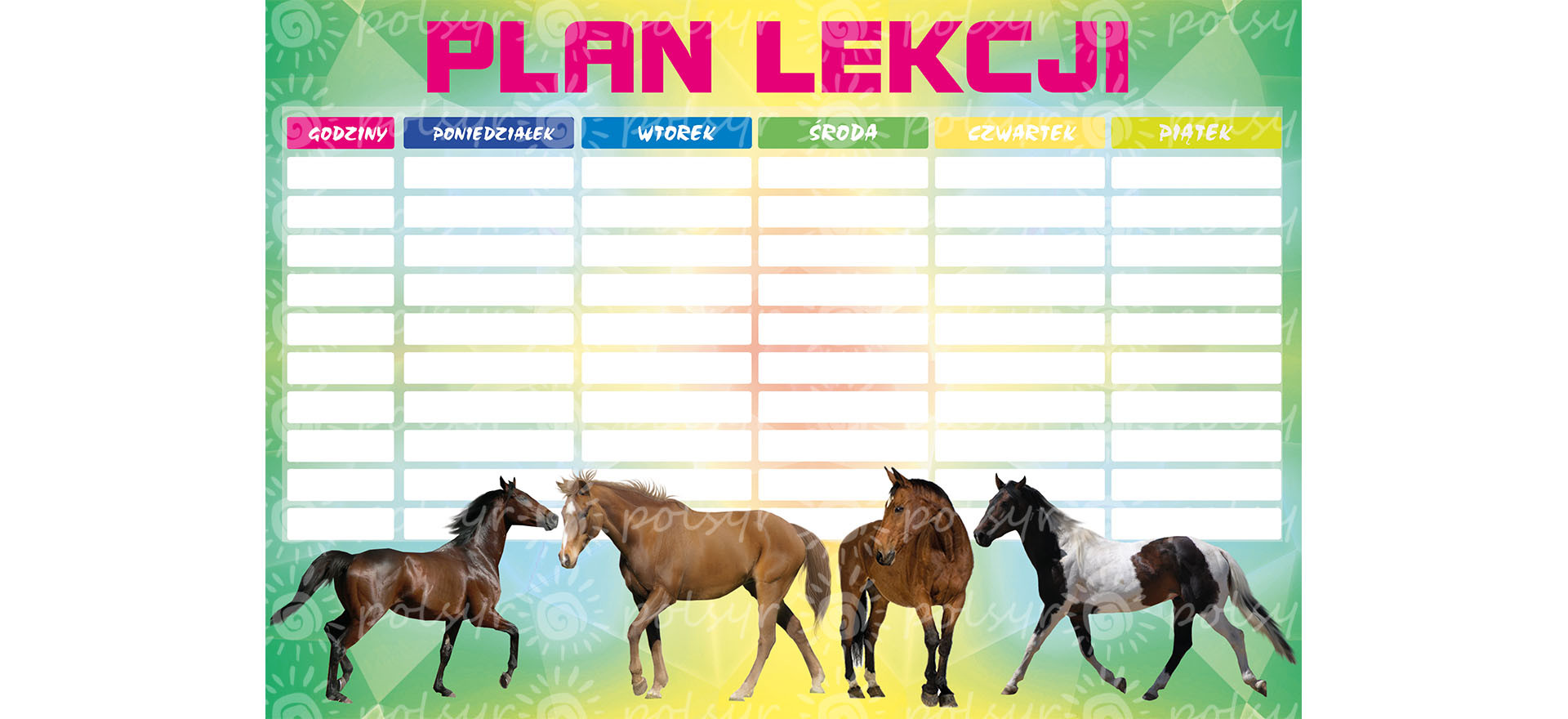 Plan lekcji  A4 (1szt.) Polsyr D